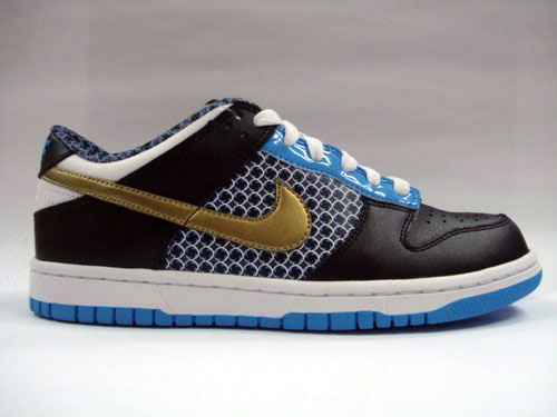 Nike Dunk 6.0 Fall 2008 Preview