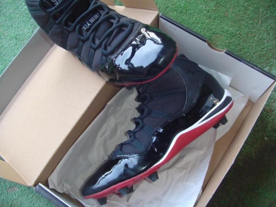 Air Jordan XI - Warren Sapp PE