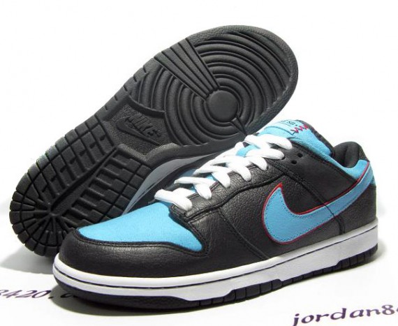 nike-dunk-sb-low-ant-02.jpg