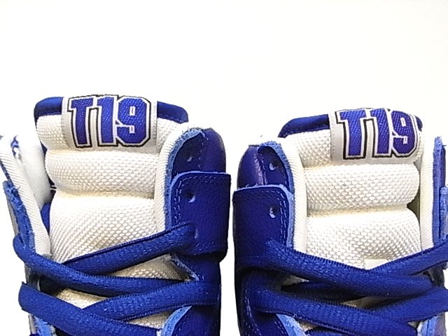 dunk-high-sb-t19-00