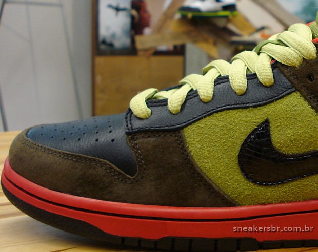 nike-dunk-sb-low-fall09-green-red-3