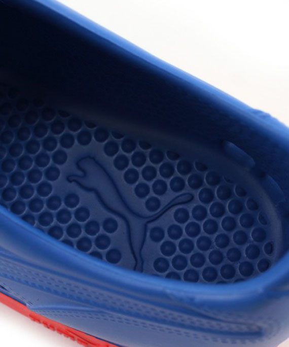 puma-rs-100-09 puma-rs-100-09