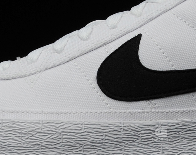 Nike Sb Bruin White Black Canvas 04