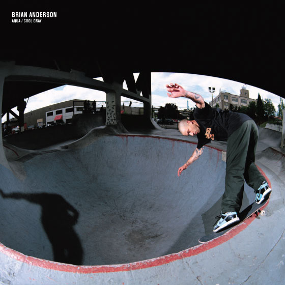 Nike Sb Dunk Pro Book 07