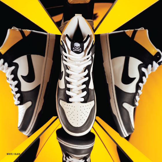 Nike Sb Dunk Pro Book 08