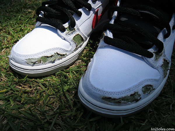 Nike Sb Dunk Cheech Chong Chop Burn 04