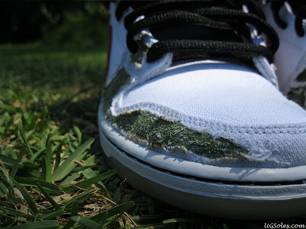 Nike Sb Dunk Cheech Chong Chop Burn 06