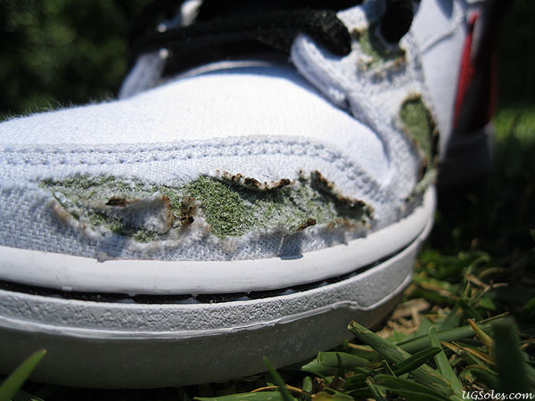 Nike Sb Dunk Cheech Chong Chop Burn 07