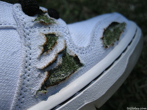 Nike Sb Dunk Cheech Chong Chop Burn 09