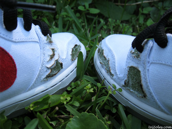 Nike Sb Dunk Cheech Chong Chop Burn 12