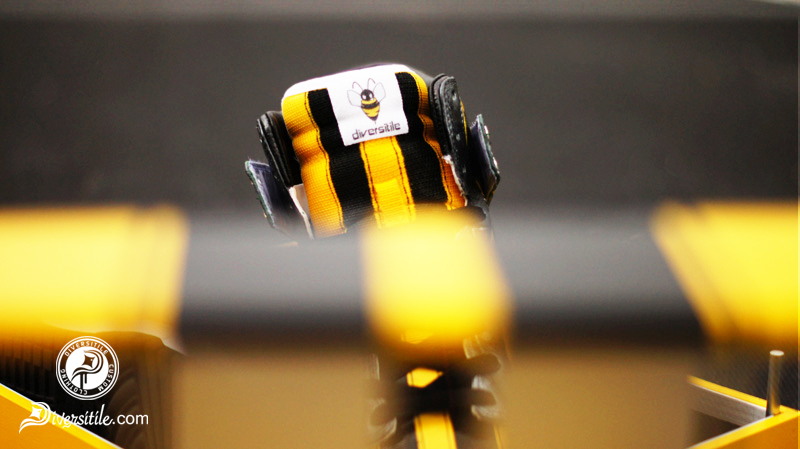 Bumble Bug6