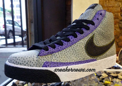 Nike Blazer Dqm 2008