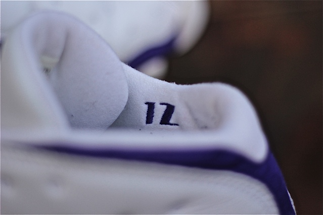 Air Jordan Xiii Low Game Worn Mike Bibby Autograph 03