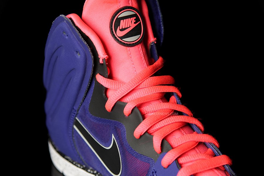 Nike Dunk Free Royal Crimson 2