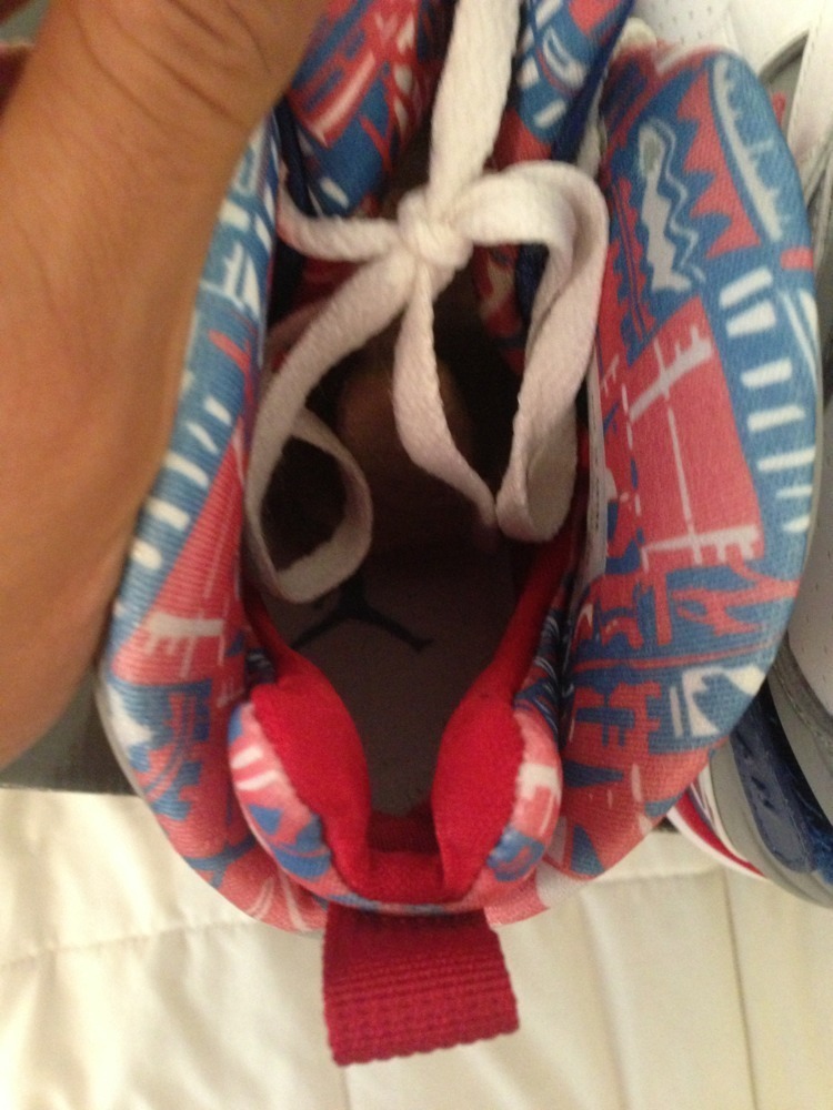Air Jordan Viii Rip Hamilton Pe 05
