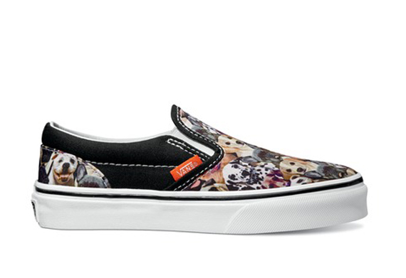 Aspca Vans 5