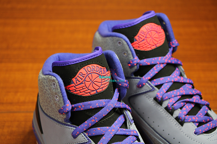 Air Jordan 2 Iron Purple Release Date 04