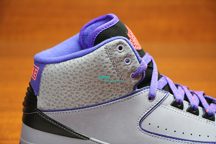 Air Jordan 2 Iron Purple Release Date 05