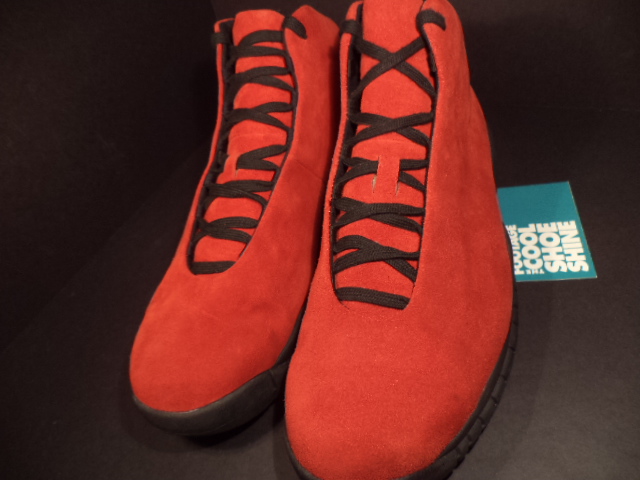 Air Jordan 10 Seamless Toro Sample 05
