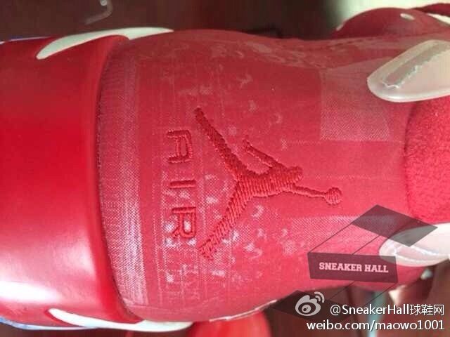 Air Jordan 6 Slam Dunk 04