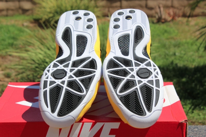Fun Police Nike Zoom Sonic Flight 01