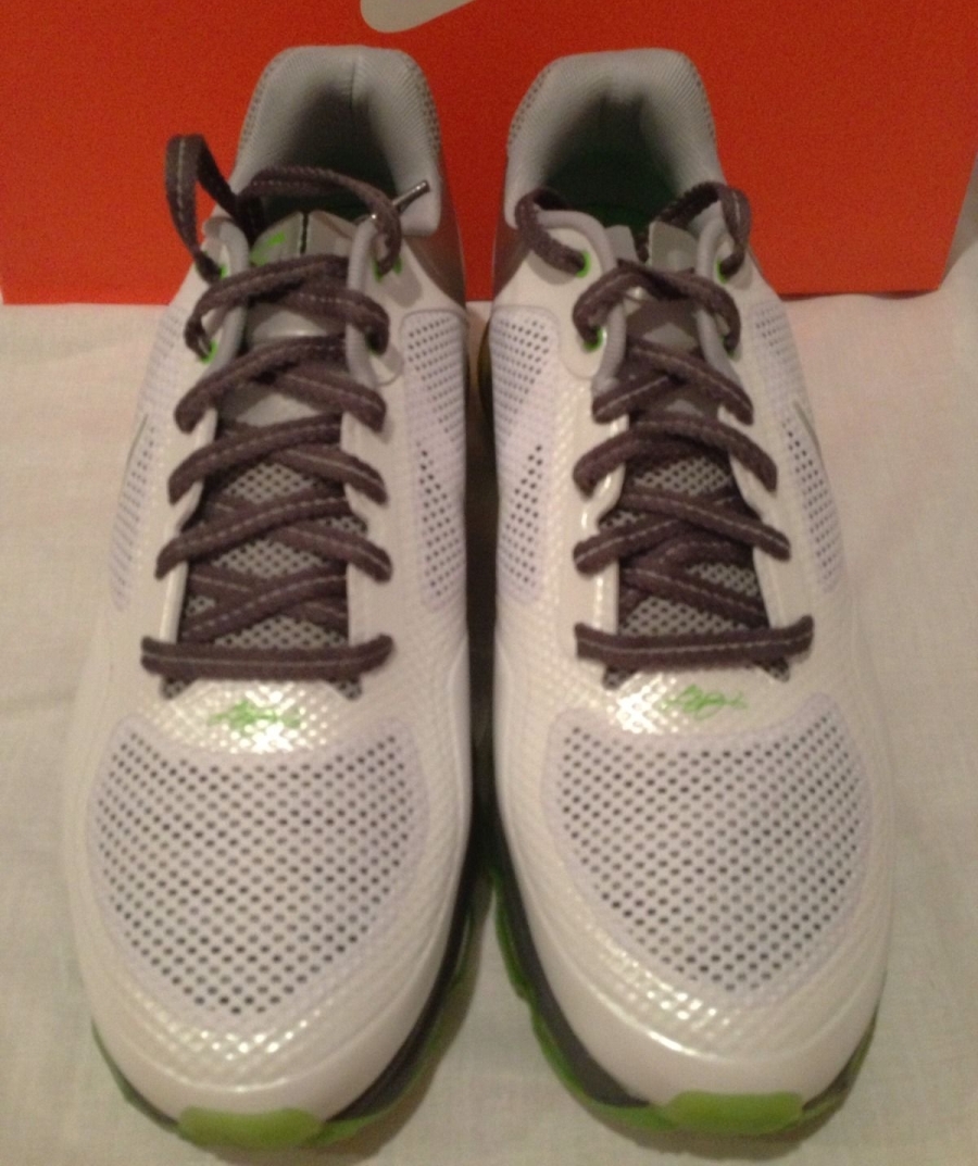 Nike Air Trainer 1 3 Max Dunkman Lebron 04