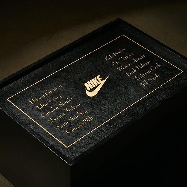 Air Jordan 3 Vnl Going Away 4