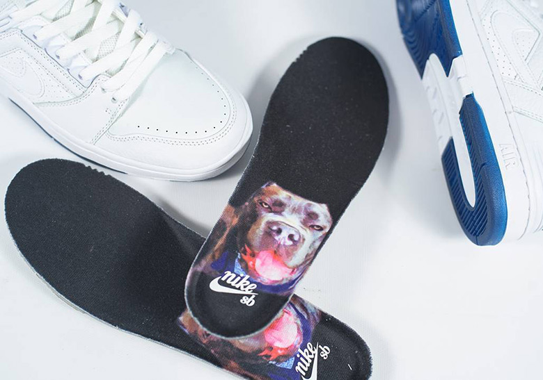 Kevin Bradley Nike Sb Air Force Ii 1