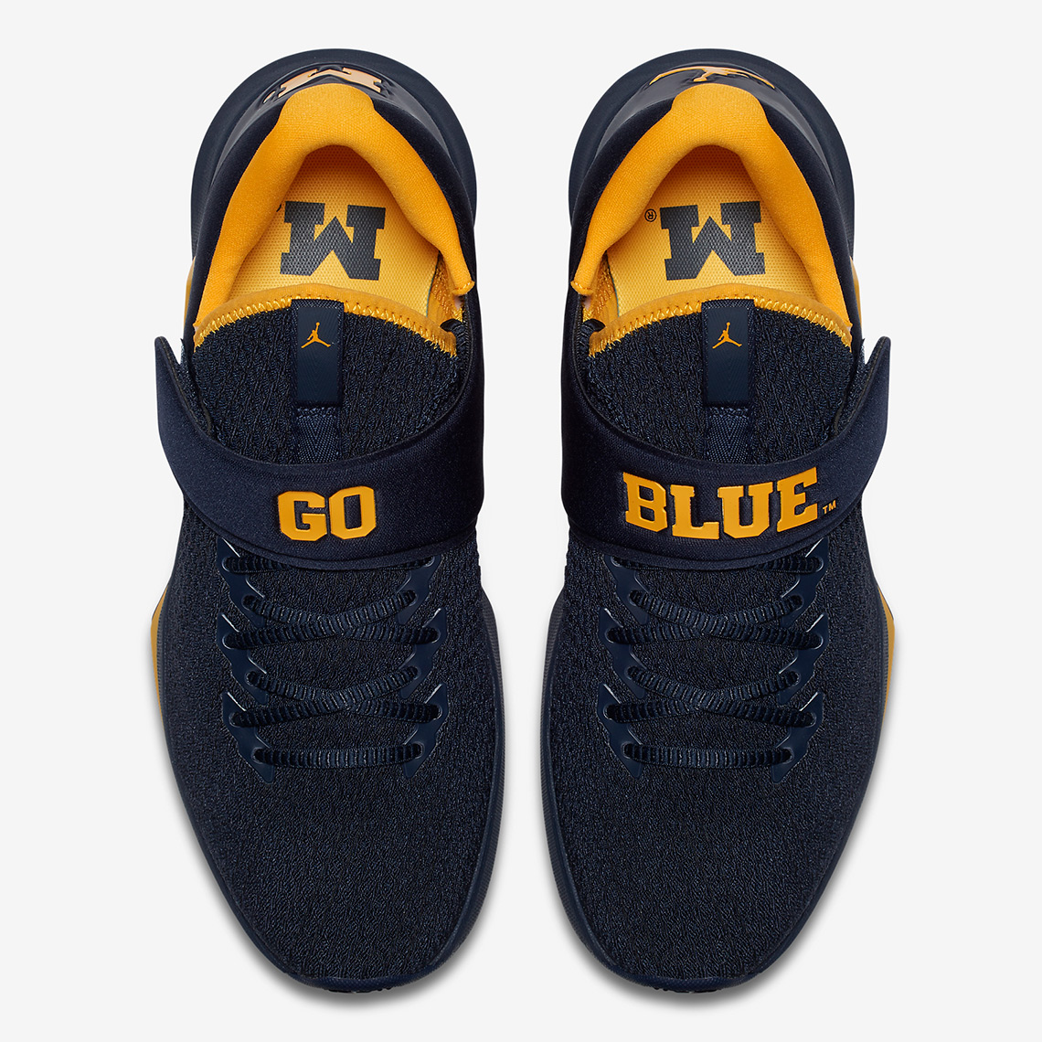 Jordan Trainer 3 Michigan