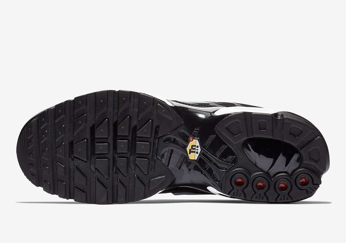 Nike Air Max Plus 815994 004 2