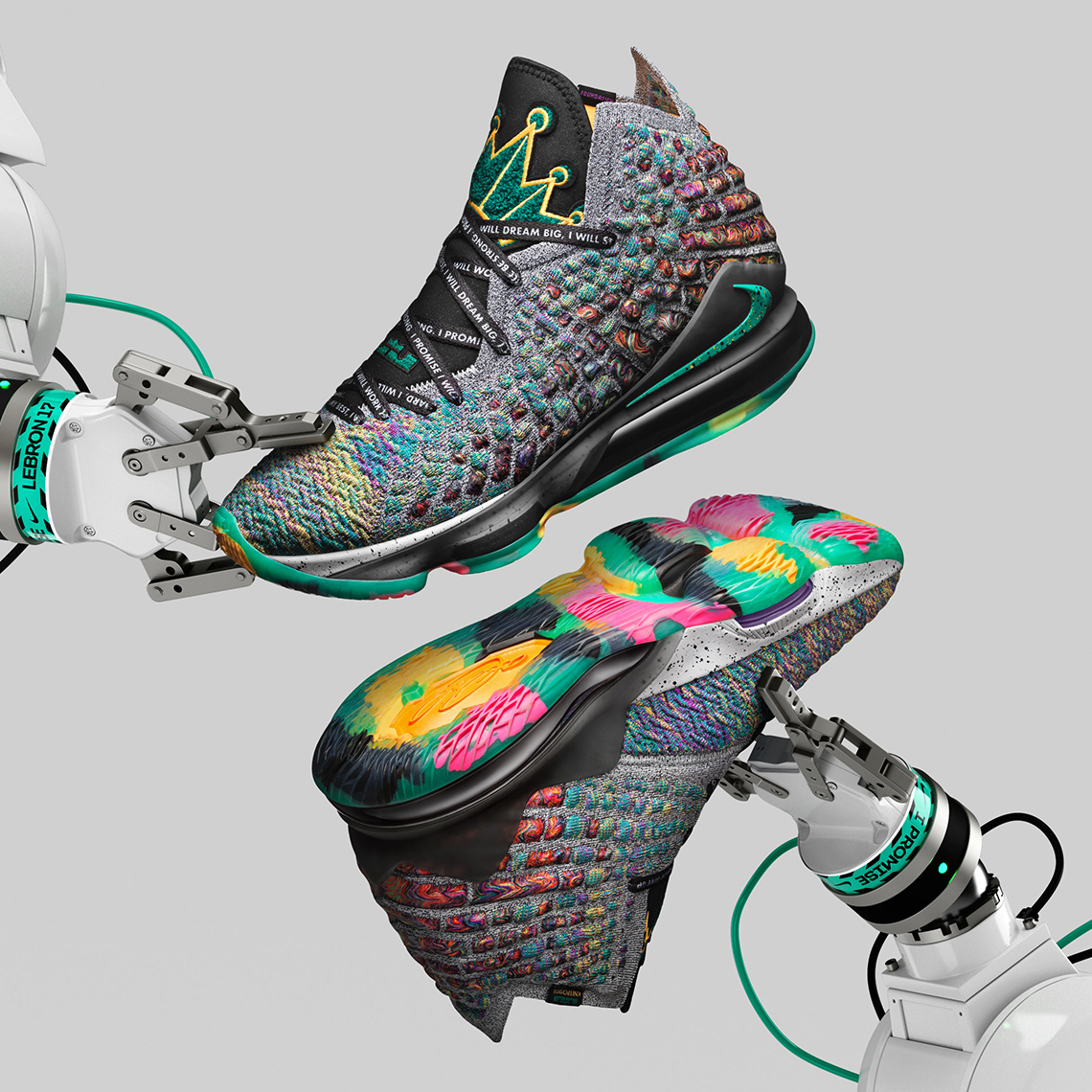 Lebron 17 I Promise 