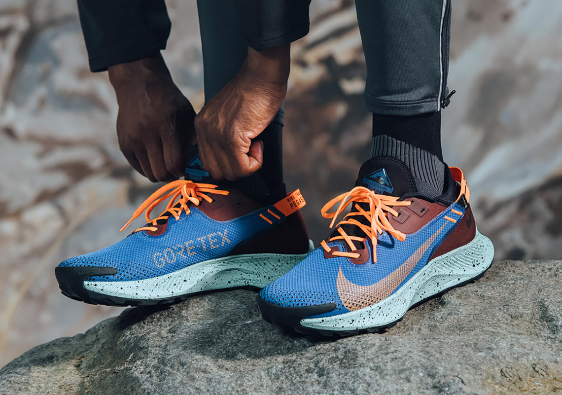 Nike Pegasus Trail 2 Gore Tex 2